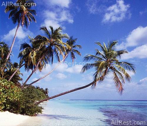 Reethi Beach Resort 1